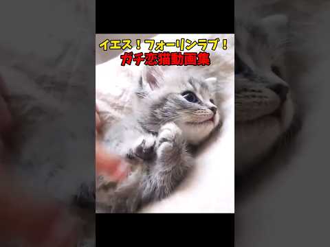 恋に落ちる五秒前😘 サムネイル