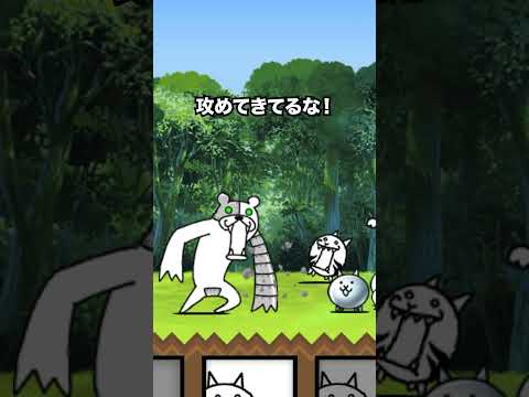 ネコネコネコネコネコネコネコネコネコネコネコネコネコネコネコネコネコネコネコネコネコネコネコネコネコネコネコネコネコネ…