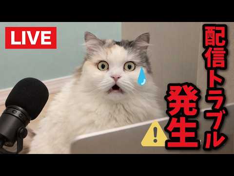 【反省】生配信が事故だらけな件について サムネイル