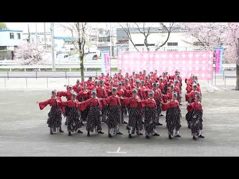 and As＠2026　サクラタウンよさこい～春の特別祭～ サムネイル