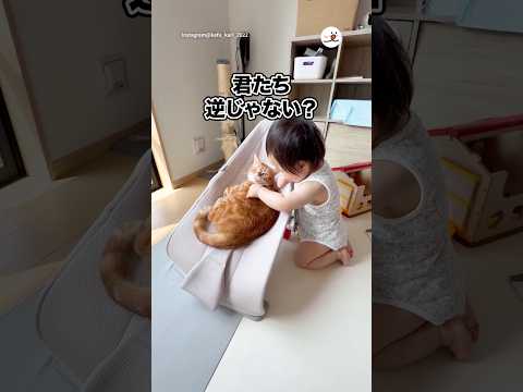 君たち逆じゃない？｜PECO