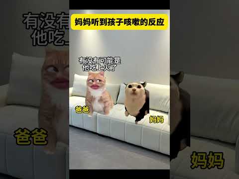妈妈听到孩子突然咳嗽 有趣 猫meme 猫meme剧场 猫meme小剧场 内容过于真实  故事 貓 猫猫meme小剧场… サムネイル