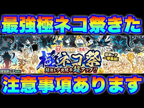 最強極ネコ祭ガチャきたけど注意事項あります！　にゃんこ大戦争　battlecats　【オレンジチャンネル】 サムネイル