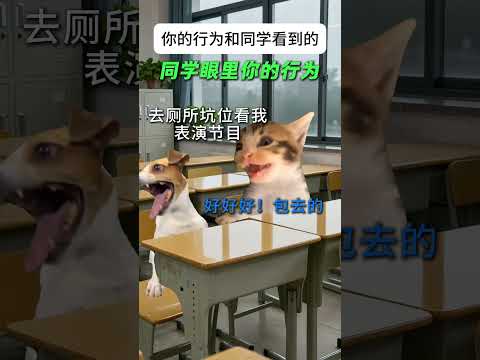 你的行为和同学们眼里看到的真实还原有趣 猫meme 猫meme剧场 猫meme小剧场 内容过于真实  故事 貓 猫猫m… サムネイル