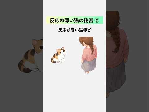 【反応が薄い猫の秘密③】リアクションが少ない猫ほど飼い主を観察している理由  猫 雑学 豆知識 トリビア 音声「VOI… サムネイル