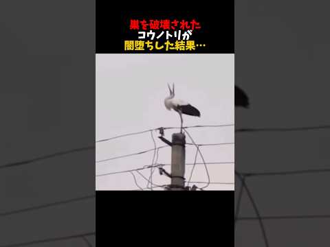 闇堕ちキャラの過去を描いた作品はこちら サムネイル