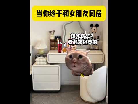 当你终于和女朋友同居 有趣 猫meme 猫meme剧场 猫meme小剧场 内容过于真实  故事 貓 猫猫meme小剧场…