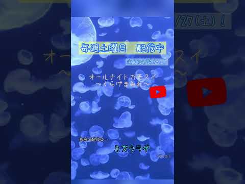 第219回 オールナイトカモスイ〜くらげまみれ〜 ミズクラゲ shorts サムネイル