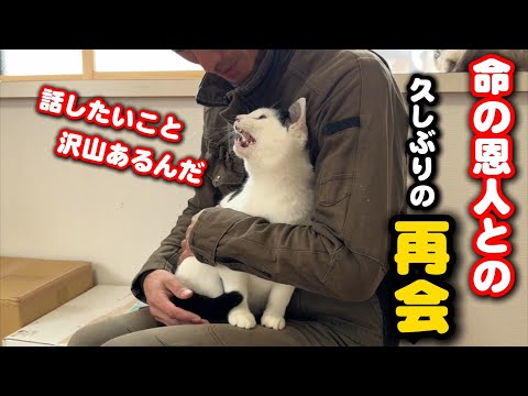 助けてくれた恩人に再会し話が止まらなくなる猫 サムネイル