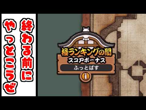 【にゃんこ大戦争】極ランキングの間で伝説にしたいので編成教えての会 サムネイル