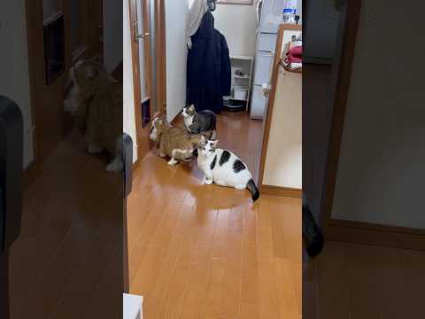 なんでぇ〜 サムネイル