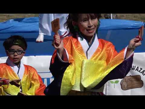 TEAM 白獅子＠2026　はんのう元気市 サムネイル