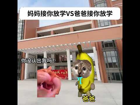 妈妈接你放学VS爸爸接你放学 有趣 猫meme 猫meme剧场 猫meme小剧场 内容过于真实  故事 貓 猫猫mem… サムネイル