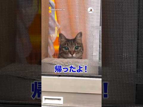 こんなお出迎えされたら直帰確定！｜PECO