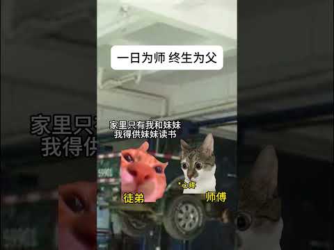 一日为师 终生为父 有趣 猫meme 猫meme剧场 猫meme小剧场 内容过于真实  故事 貓 猫猫meme小剧场… サムネイル