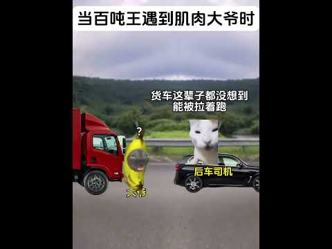当百吨王遇到肌肉大爷时 有趣 猫meme 猫meme剧场 猫meme小剧场 内容过于真实 故事 貓 猫猫meme小剧…