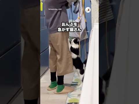 おんぶを急かして…｜PECO サムネイル