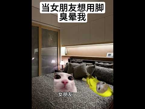 怎么还奖励他了？ 有趣 猫meme 猫meme剧场 猫meme小剧场 内容过于真实  故事 貓 猫猫meme小剧场 喵… サムネイル