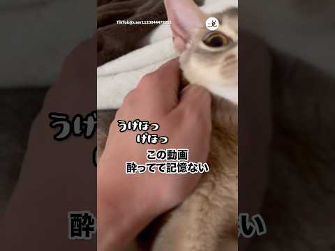 酔って記憶に無いけどやばい動画が見つかった|PECO