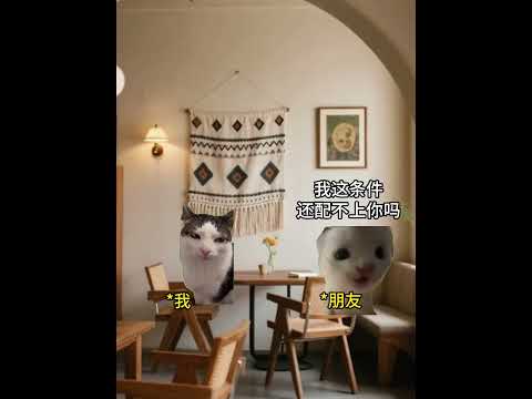 你当我没看过反诈App吗 有趣 猫meme 猫meme剧场 猫meme小剧场 内容过于真实  故事 貓 猫猫meme小… サムネイル