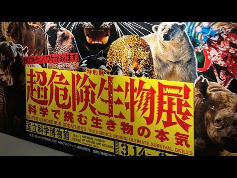 【週末おさかな部】ぬりえテーマ「超危険！！」🎨🐟vol.175 サムネイル