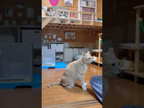 ええ加減せぇ！ サムネイル