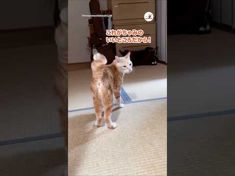 1ヶ月ぶりにお姉ちゃんが帰省したら…｜PECO サムネイル