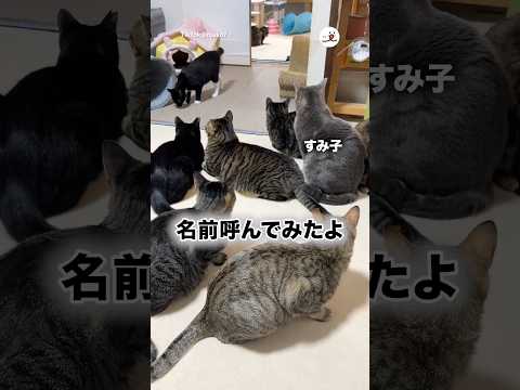 みんな振り向いて…｜PECO サムネイル