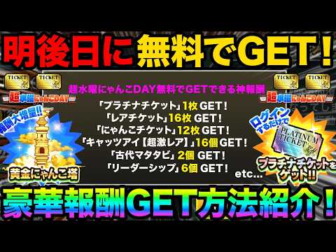 絶対チェックして！明後日から無料でレアチケット16枚GETする方法紹介！超水曜にゃんこDAYの報酬が神すぎた！99%が… サムネイル