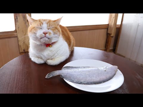 ちゃぶ台の上のナメタガレイ　260103 サムネイル