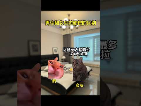 祝大家天天通畅  有趣 猫meme 猫meme剧场 猫meme小剧场 内容过于真实  故事 貓 猫猫meme小剧场 喵… サムネイル