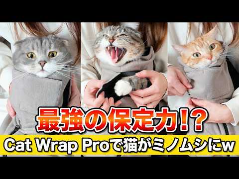 最強の保定グッズ！？ Cat Wrap Proで猫の爪切りをした飼い主の末路がコチラ🤣🤣🤣 サムネイル
