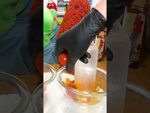 YES？NO？フルーツポンチチャレンジ🍎🍐🍏 fruit punch challenge shorts チャレンジ サムネイル
