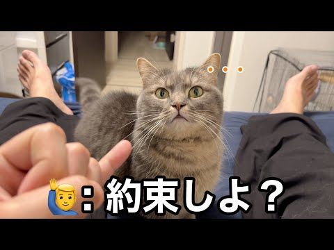 6年前に迎えた愛猫とパパがどうしても約束したかったこと