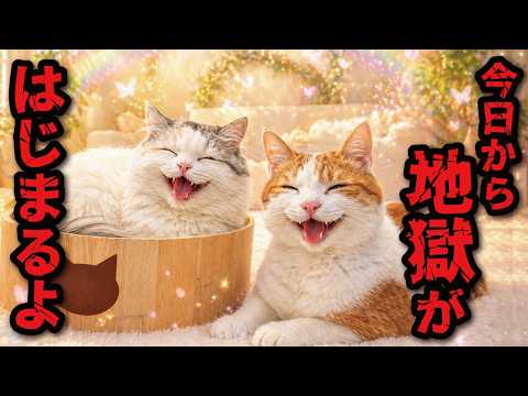 今日から地獄がはじまるよっ！！ サムネイル