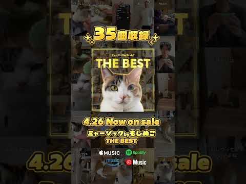 『ミャージックbyもしぬこTHE BEST』\Now on sale/ サムネイル