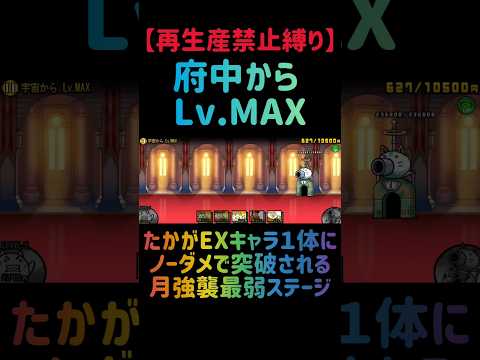 【再生産禁止縛り】ムートがいれば続・１２月強襲 Lv.MAXを出撃１体のみで速攻攻略出来る説 #にゃんこ大戦争