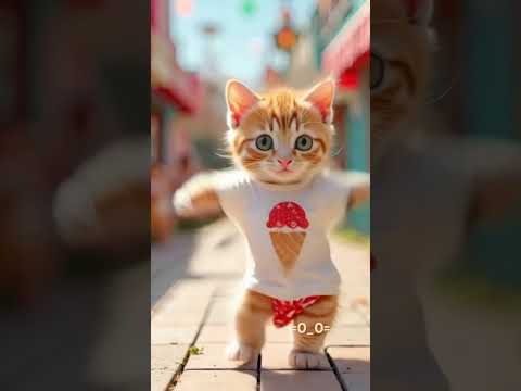 cat cute funny ねこ サムネイル