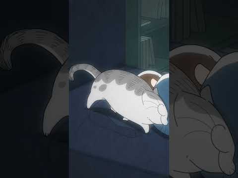 話題のアニメ！フータくんと神回キュルガの心温まるふれあい