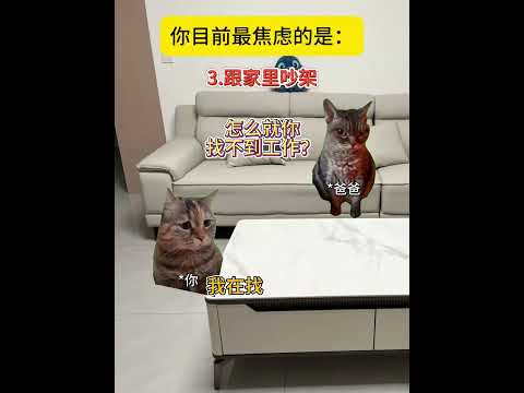你在烦心啥事？ 猫meme サムネイル