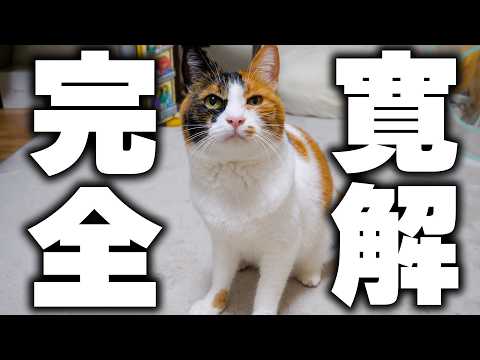 【ご報告】ベルちゃんの癌、寛解したってよ