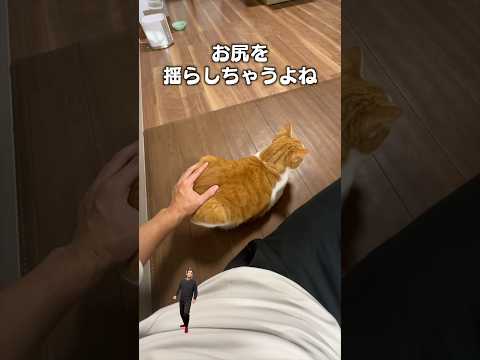 アルバム6曲目「お尻を揺らしちゃうよね|フルはApple Musicほか音楽アプリへ サムネイル