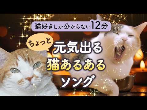 猫好きしか分からない12分｜ちょっと元気出る猫あるあるソング サムネイル