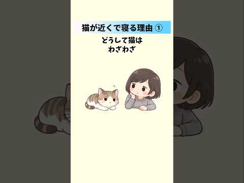 【猫の心理】一緒に寝る場所でわかる「あなたへの信頼度」と本音① 猫 雑学 豆知識 トリビア 猫の心理 音声「VOICE… サムネイル