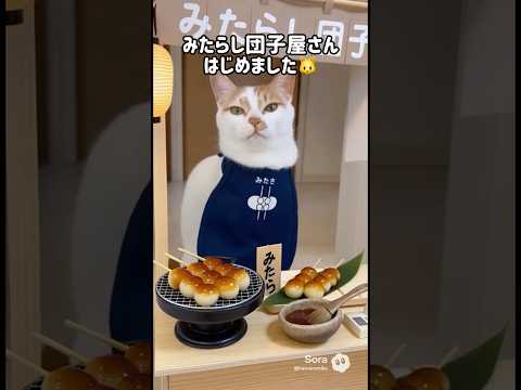 トロのみたらし団子屋さんオープン！ shorts ai サムネイル