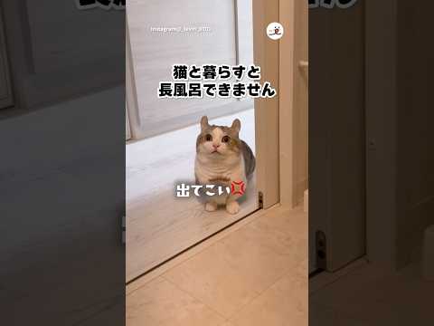 お風呂長すぎ！｜PECO サムネイル