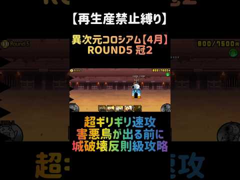【再生産禁止縛り】シラスがいれば異次元コロシアム【4月】ROUND５ 冠２を出撃５体のみで速攻攻略出来る説 にゃんこ大… サムネイル