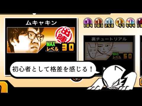 【にゃんこ大戦争】ムキあしの下位互換と思いきや？初心者用としては完成された　ムキャキンのトリセツ第二版　963 サムネイル