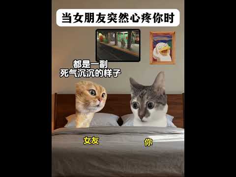 当女朋友突然心疼你时 有趣 猫meme 猫meme剧场 猫meme小剧场 内容过于真实  故事 貓 猫猫meme小剧场…