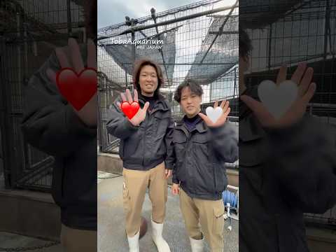 《鳥羽水族館》❤️✖️🤍を混ぜたら何色になる⁉️ 鳥羽水族館 tobaaquarium モモイロペリカン colorm… サムネイル